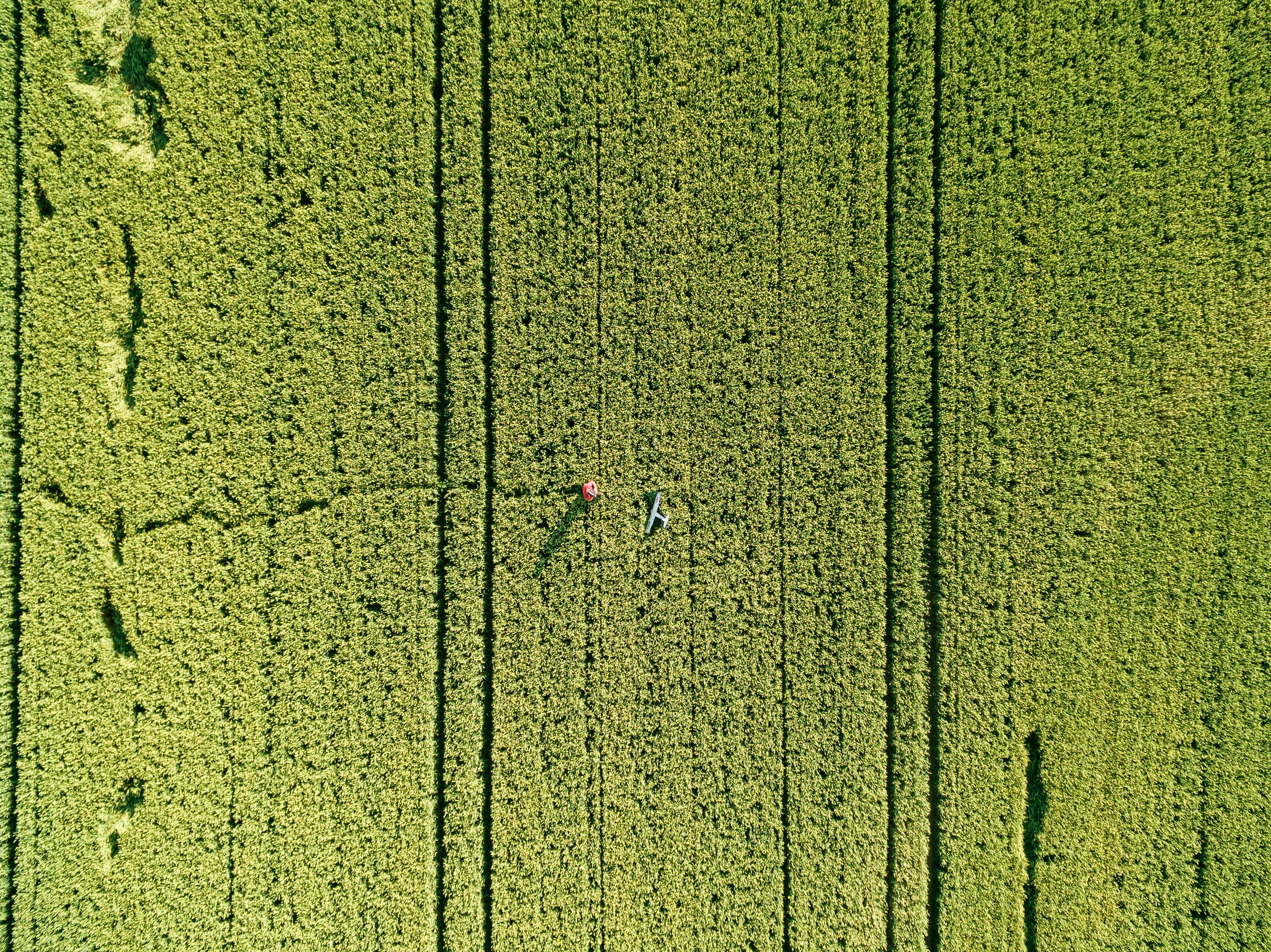 agricultura de precisão imagem feita por drone - mapeamento