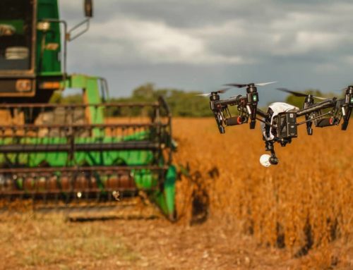 Resultado de imagem para Internet das Coisas chega ao agronegócio