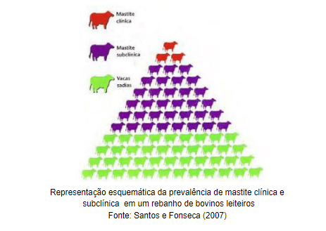 mastite em bovinos mastite bovina