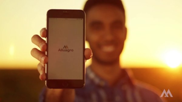 alluagro alluagro