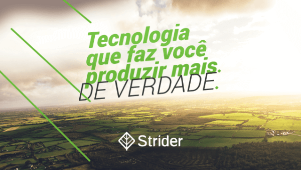 strider