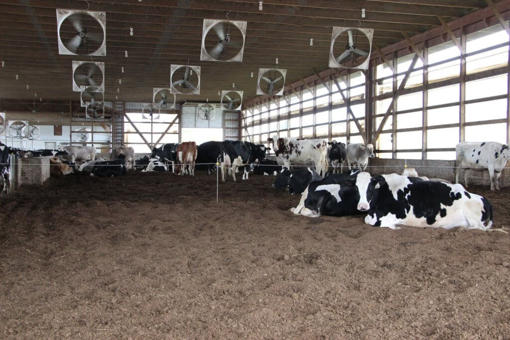 compost barns